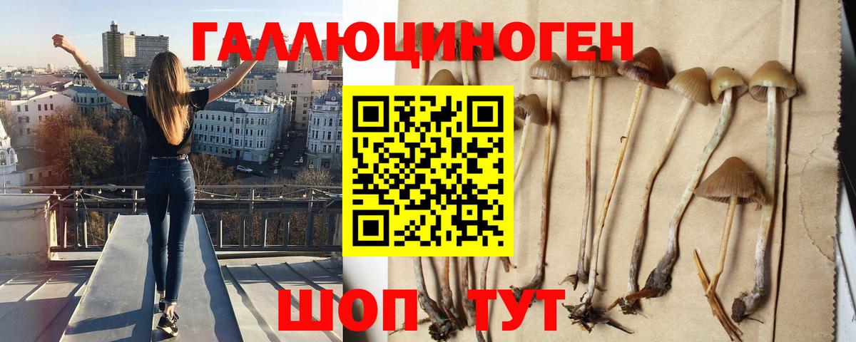 Псилоцибиновые грибы мухоморы  Вход с VPN  Лесосибирск 